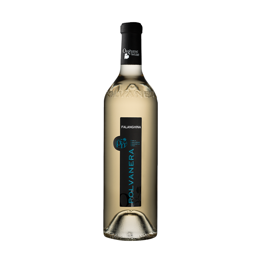 Soleegusto-Falaghina Polvanera I.G.P Puglia - bio - Weisswein