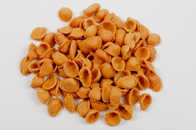 Soleegusto-Orecchiette al Peperoncino aus Hartweizengriess Hausgemacht - 500g
