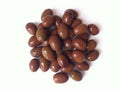 1750g Olive miste in acqua e sale - Oliven-Mix im Salzwasser