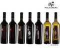 6 Flaschen 75cl Polvanera Degupaket