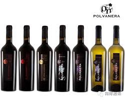 6 Flaschen 75cl Polvanera Degupaket