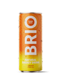 Soleegusto-Brio Mate Ginger Sparkling bio 25cl - in Dose Kiste 12x25cl--brio mate gingembre ml face fresh scaled