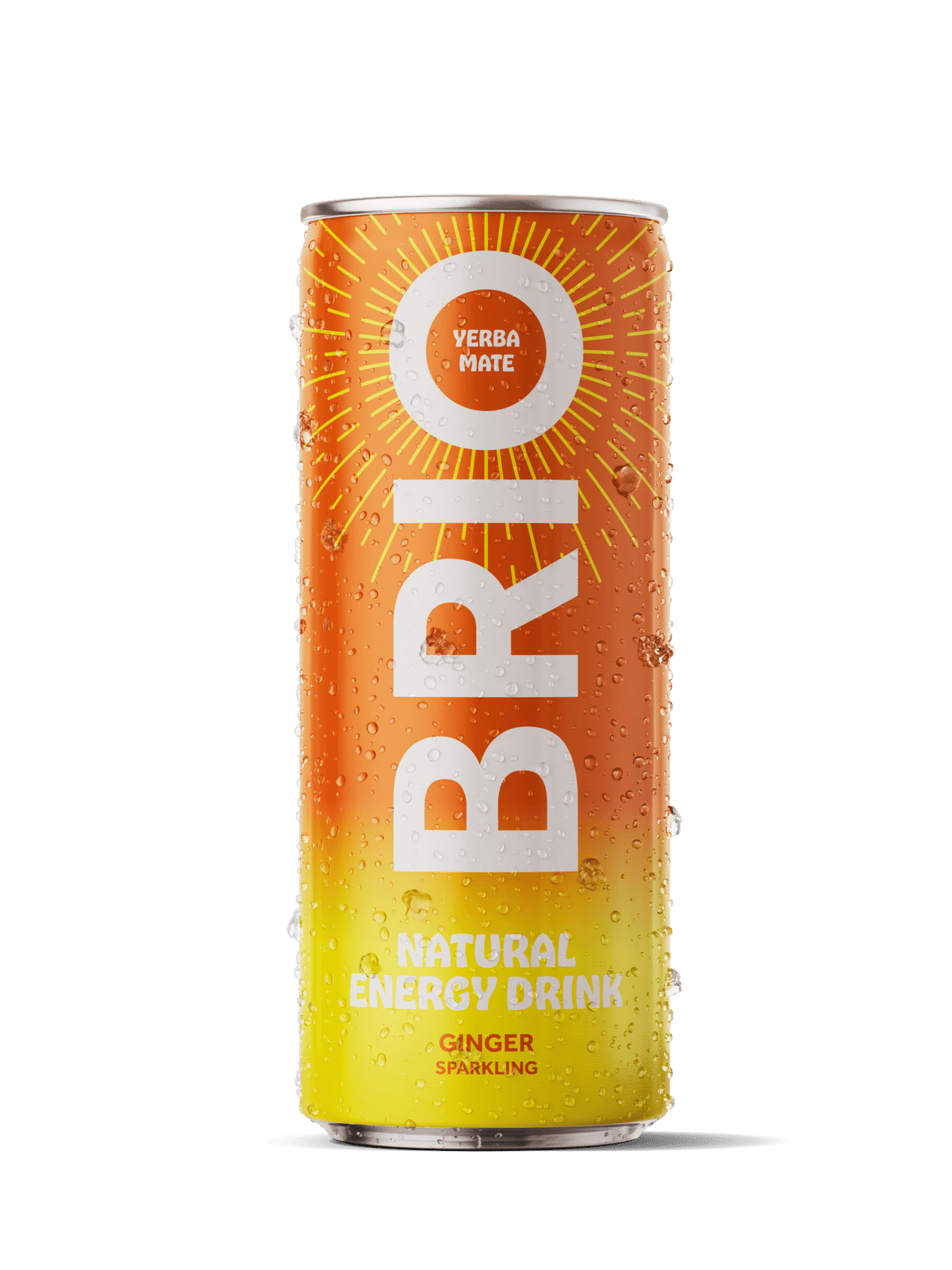Soleegusto-Brio Mate Ginger Sparkling bio 25cl - in Dose Kiste 12x25cl--brio mate gingembre ml face fresh scaled