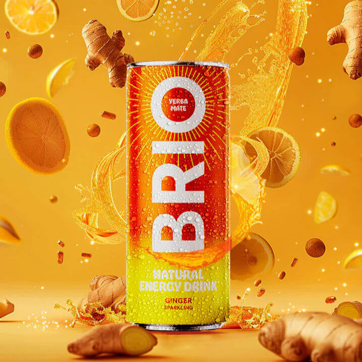 Soleegusto-12 x 25cl Brio Mate Ginger Sparkling bio 25cl - in Dose Kiste--brio fruity gingembre x