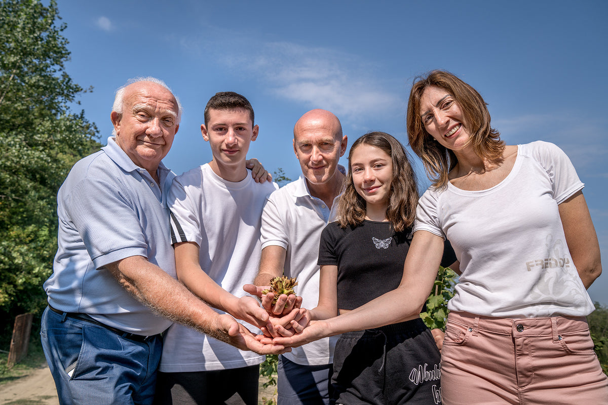 Nocciole Bio del Piemonte