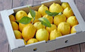 3.3kg Zitronen aus Sizilien in Kiste - Bio