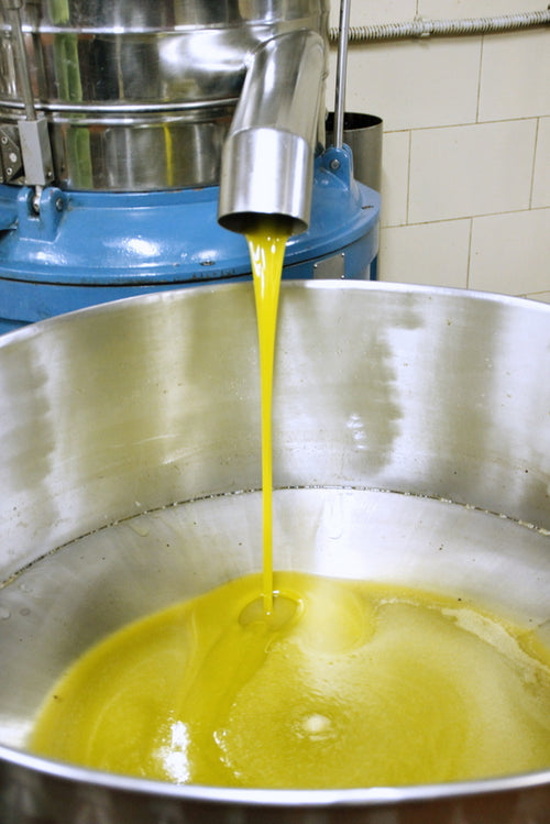 Soleegusto-Olivenöl Extra Vergine kaltgepresst im Alufass 25 Liter--mg