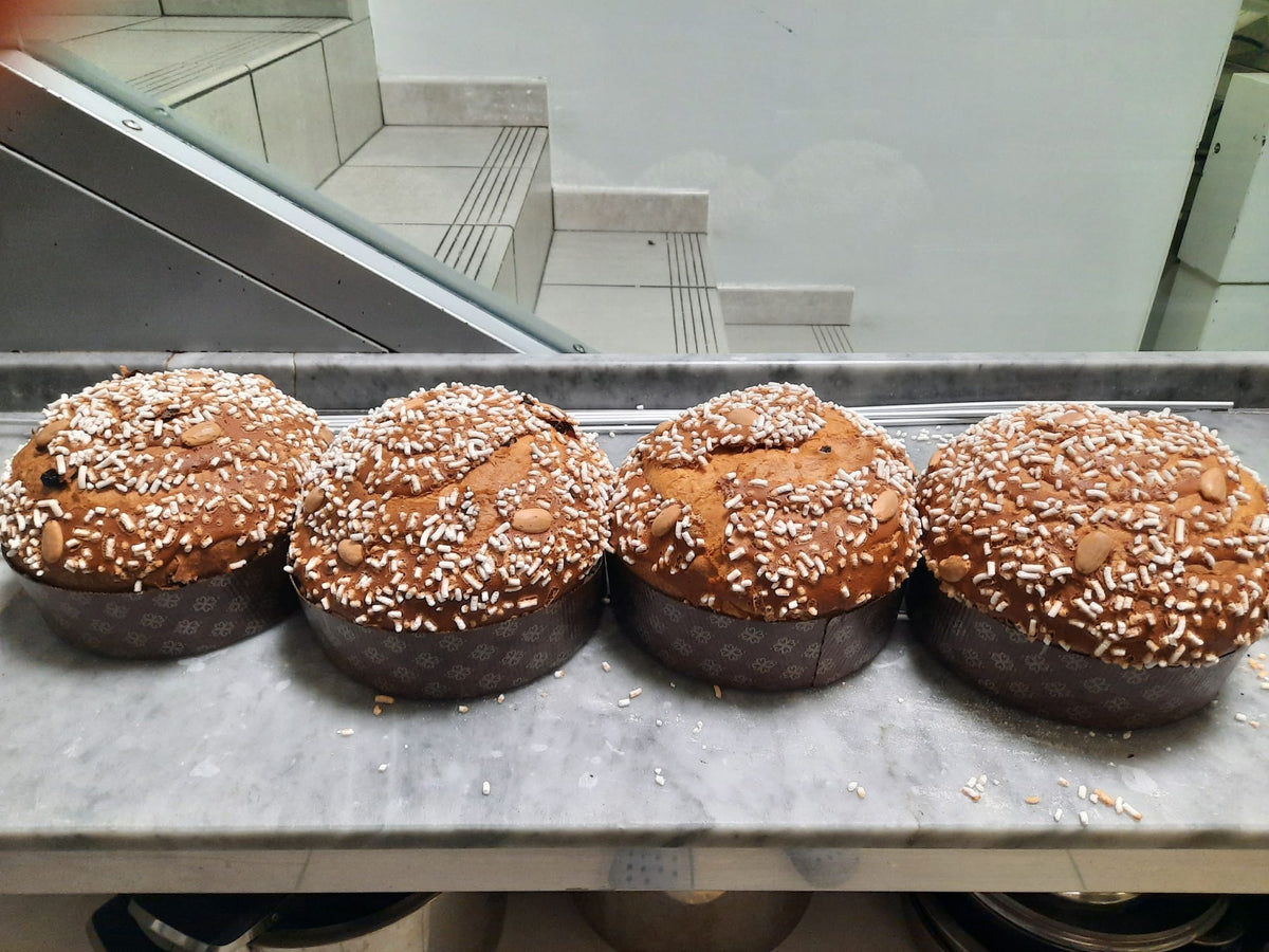 Soleegusto-Panettone tradizionale Milano di Nico mit Rosinen und kandierten Fürchte - Handgemacht 750g--panettone ii