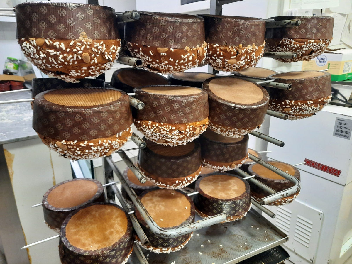 Soleegusto-Panettone tradizionale Milano di Nico mit Rosinen und kandierten Fürchte - Handgemacht 750g--panettone i