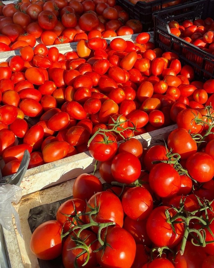 Paté di pomodori secchi