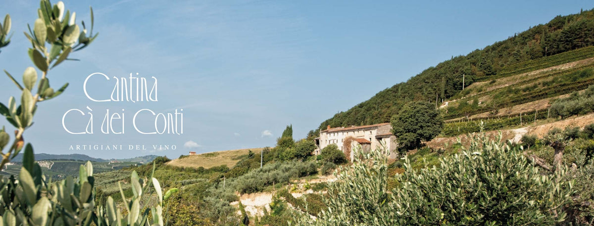 GIULIETTA Bianco Veneto IGT
