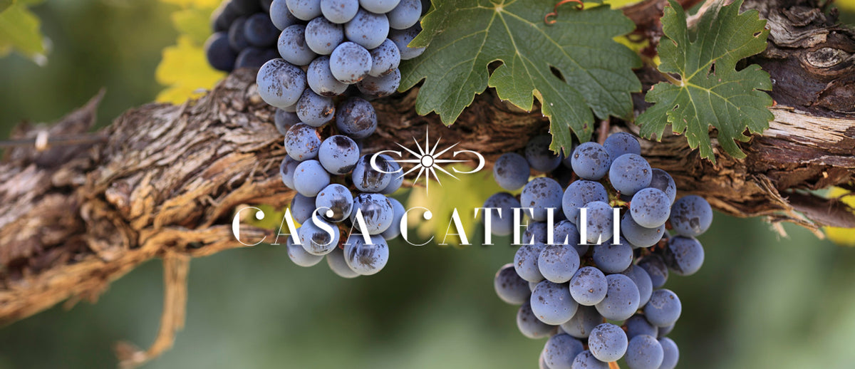 Casa Ceccatelli Chianti Riserva DOCG Bio – 0,75 l