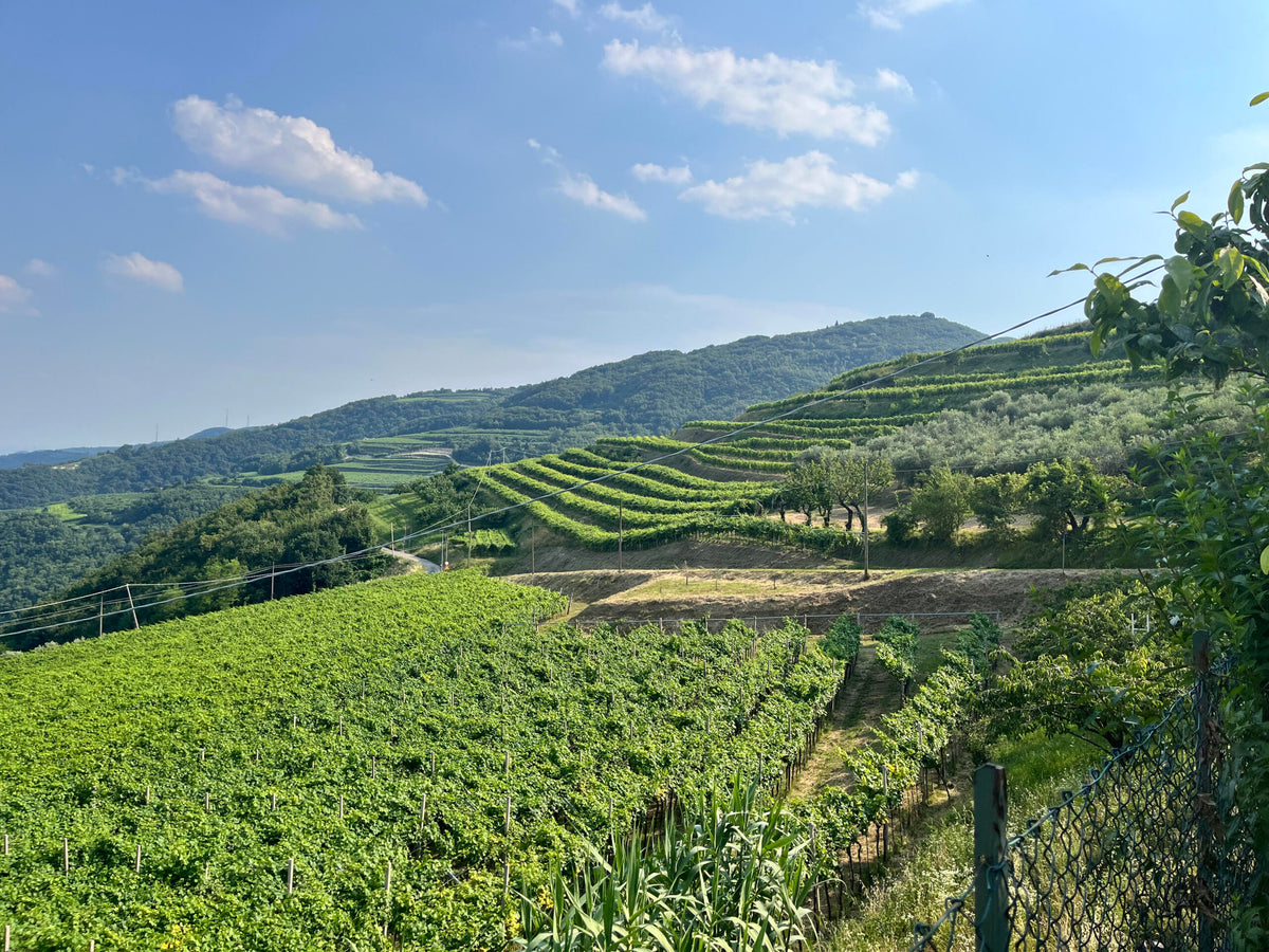 Muni - Epochè Durello Veneto – Vino Spumante-Prosecco Metodo Classico – 0,75 l