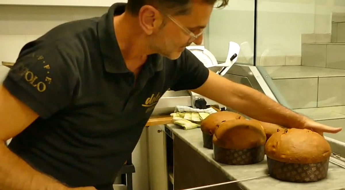 Soleegusto-Panettone tradizionale Milano di Nico mit Rosinen und kandierten Fürchte - Handgemacht 750g--nico