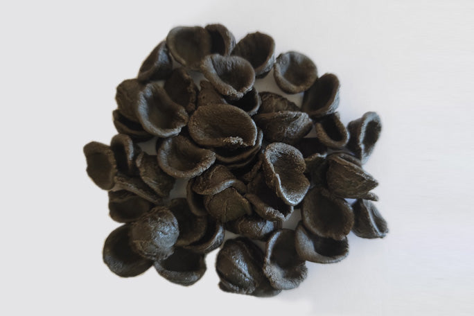 Soleegusto-1 x 10kg Orecchiette NERE - aus Hartweizengriess - für Unverpackt-Gastro--orecchiette nere