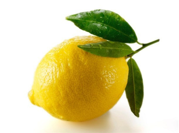 Soleegusto-Limoncello della nonna di Monopoli - ovale 500ml--zitrone
