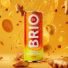 Soleegusto-12 x 25cl Brio Mate Ginger Sparkling bio 25cl - in Dose Kiste--brio fruity gingembre x