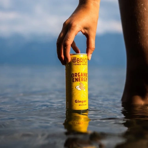 Soleegusto-12 x 25cl Brio Mate Ginger Sparkling bio 25cl - in Dose Kiste--brio mate energy drink naturel bio gingembre ml canette lac fraicheur x