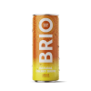 Soleegusto-Brio Mate Ginger Sparkling bio 25cl - in Dose Kiste 12x25cl--brio mate gingembre ml face fresh scaled