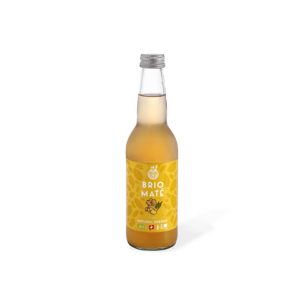 Soleegusto-Brio Mate Strawberry & Lime Sparkling bio 25cl - in Dose Kiste 12x25cl--ginger scaled
