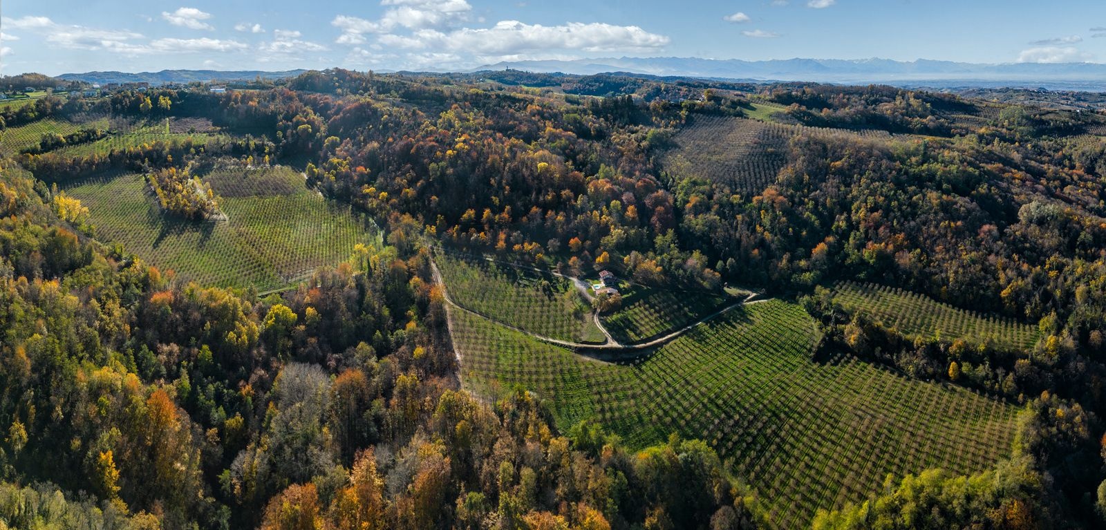 Soleegusto-10 x 500g Nocciole Bio del Piemonte – rohe Bio-Haselnüsse aus dem Piemont, vakuumiert--panoramica