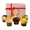 Soleegusto-6 x 1200g La Torraca 4 x Mini-Panettone a 300g (Vorbestellung – Auslieferung ab Ende Oktober 26)--bild mini panettone box g